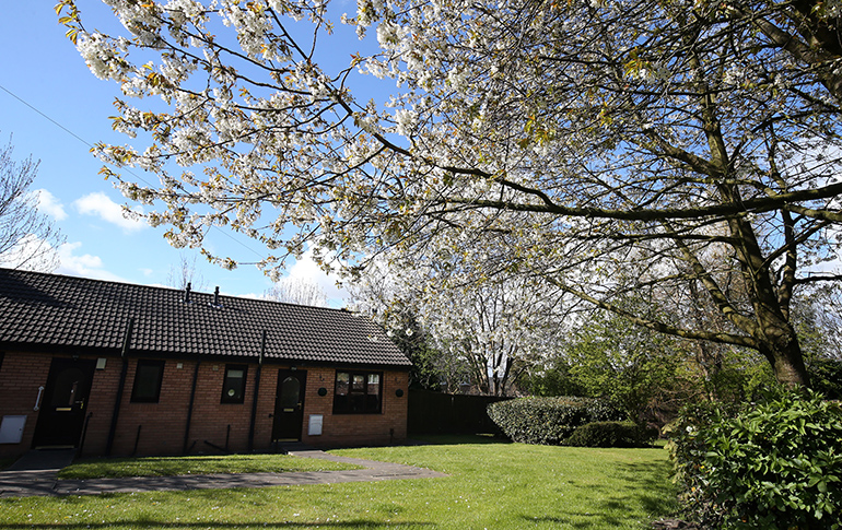 Upland Close gardens