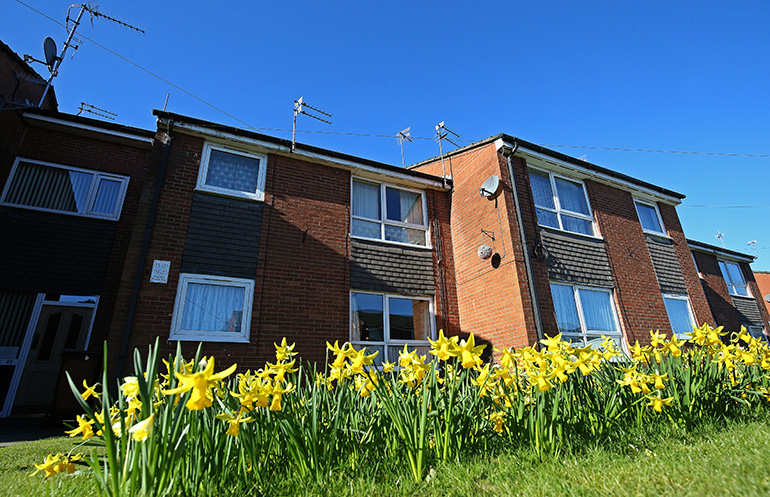 Exterior of a two‑storey red‑brick residential building with white‑framed windows, viewed across a grassy verge filled with yellow daffodils in bloom. The building has additional brick and tiled detailing on the upper level, with TV aerials on the roof and a clear blue sky overhead.