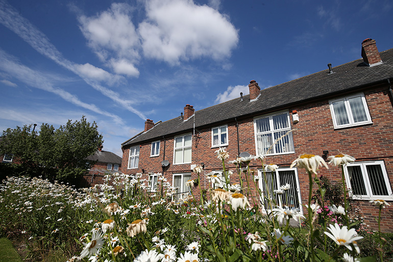 Row of red‑brick terraced houses with white‑framed windows, viewed across a garden filled with daisies and other wildflowers in the foreground. The houses have pitched roofs and chimneys, set under a bright blue sky with scattered clouds.