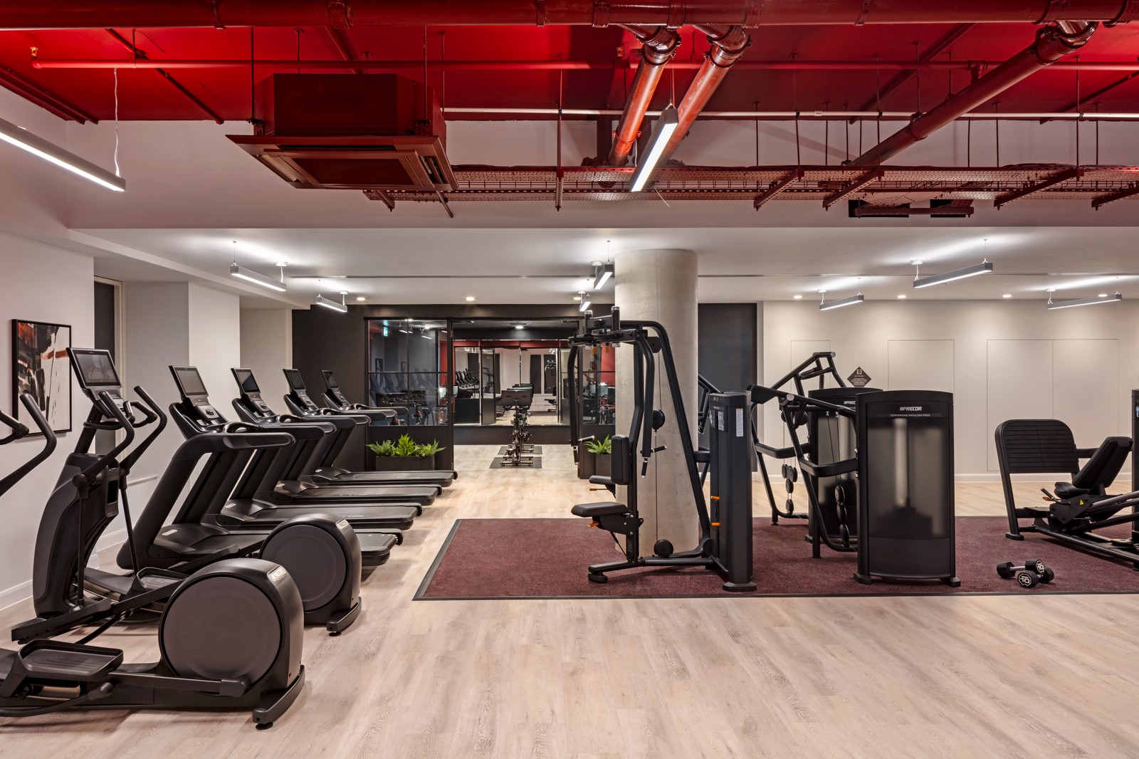 gym
