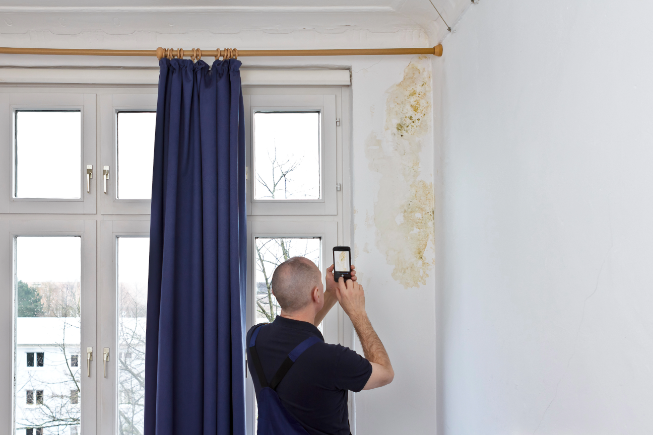 Man taking photo of mould in his home