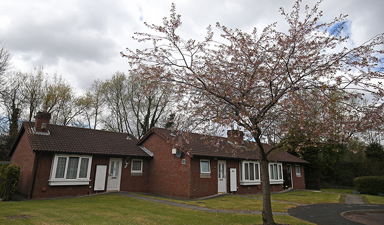 Row of single‑storey red‑brick bungalows with white‑framed windows and tiled roofs, set around a quiet residential close. A flowering tree stands in the foreground beside a neatly kept lawn, with paved paths leading to the front doors and mature trees lining the background under a cloudy sky.