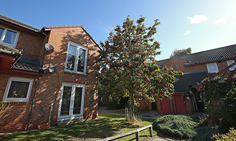Communal garden area between red‑brick residential buildings, with a mature tree at the centre bearing red berries. A small lawn, low hedges and shrubs surround the tree, with paved paths leading to nearby entrances and brick buildings with white‑framed windows under a bright blue sky.