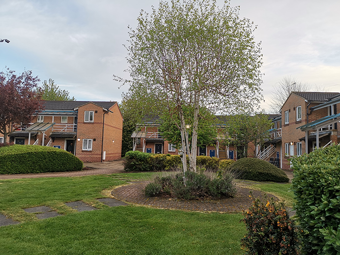 Communal garden courtyard with a circular paved bed and a tall tree at the centre, surrounded by neatly trimmed shrubs and grass. Red‑brick two‑storey residential buildings with balconies and entrances face the shared green space under an overcast sky.