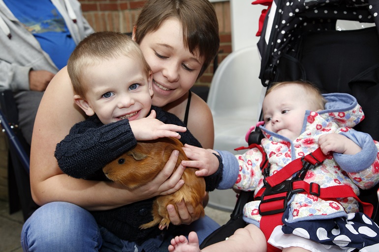 Petting Zoo visits Eliazabeth Court in Chatham.