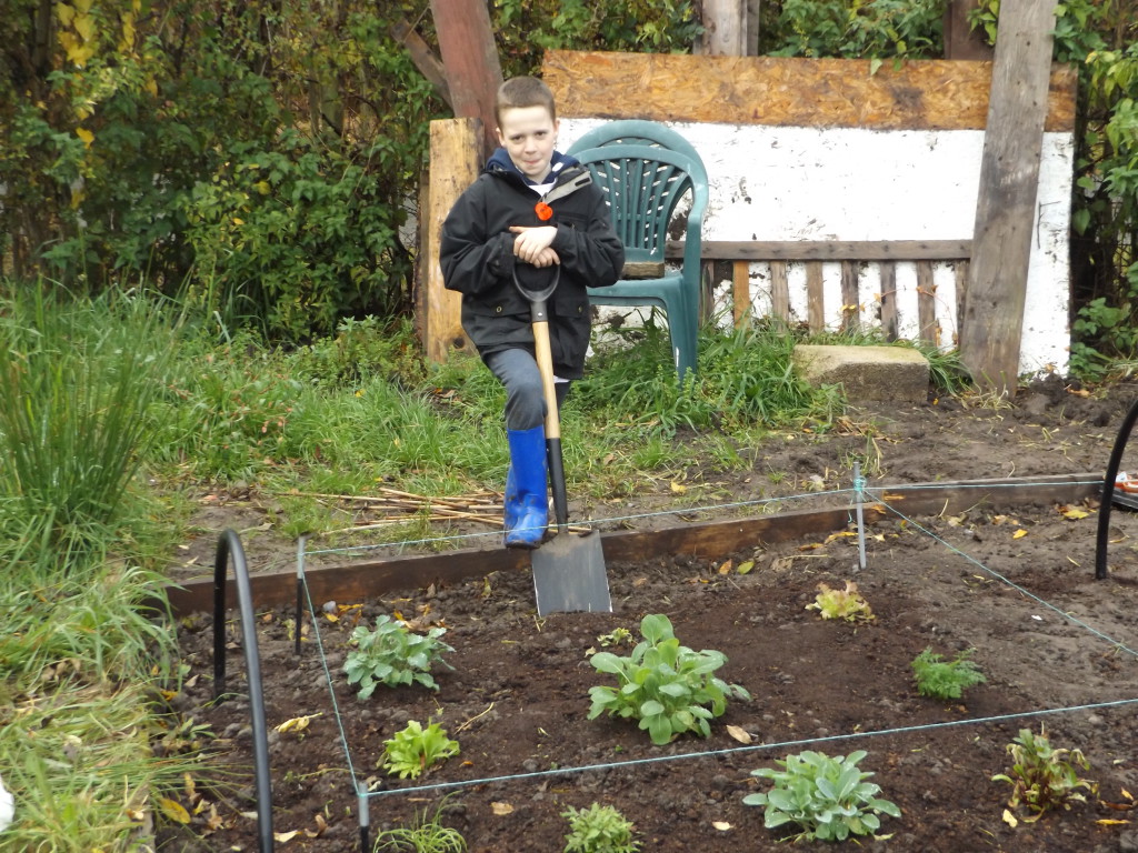 Jake Johnson allotment