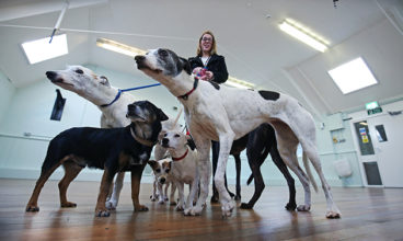 Currock Community Centre Carlisle. Dog micro-chipping undertaken by Carlisle City Council and Riverside Housing. Stella Eggleston Neighbourhood Planner Riverside.