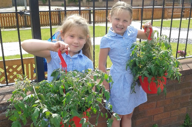 Incredible Edible Valley in Belle Vale, Liverpool shortlisted for environment award by Liverpool Echo.