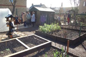 One year anniversary of the gardening project at The Victoria Project and The Springs in Cambridge, ran by Riverside