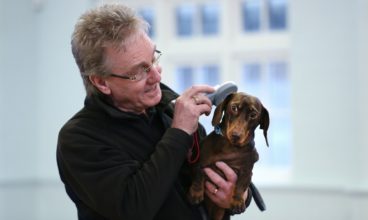 Free micro-chipping service for your dog