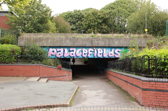 Palace Fields estate in Halton Lea.