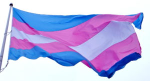 trans-flag