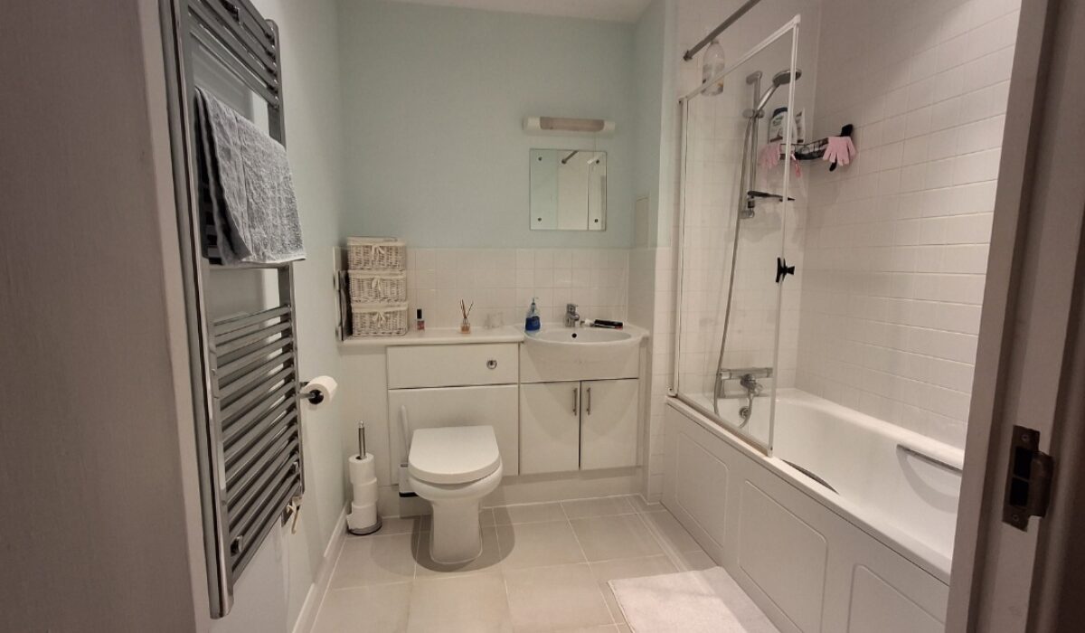 Bathroom view
