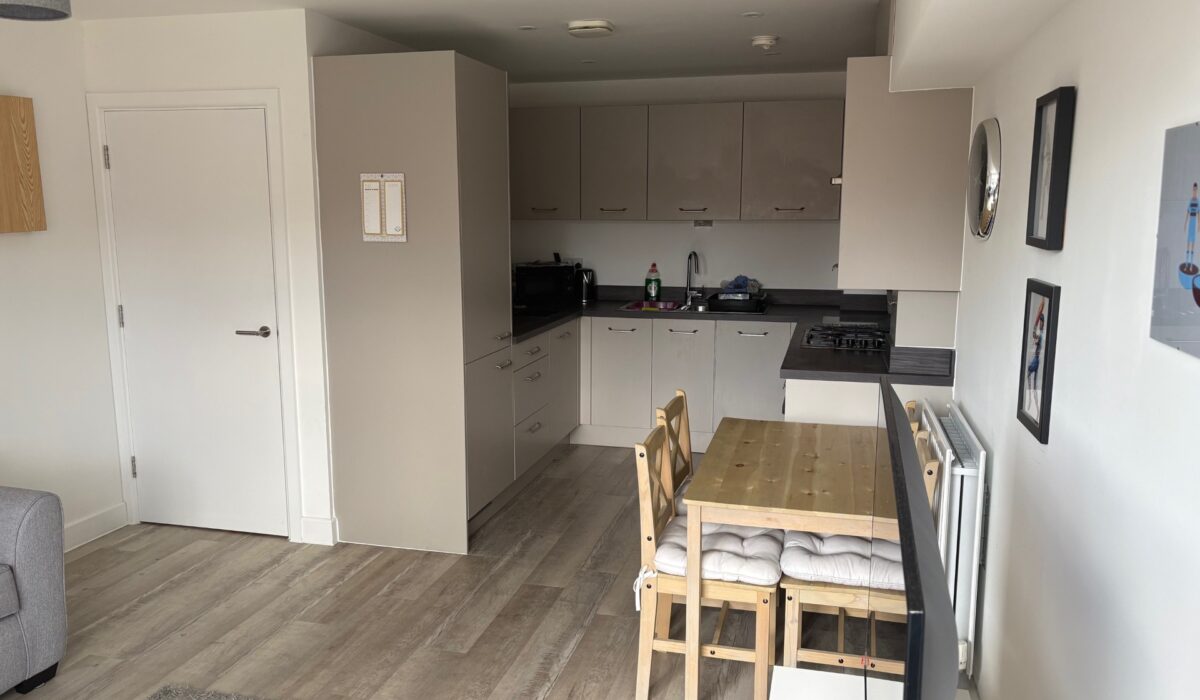 Living room and kitchen