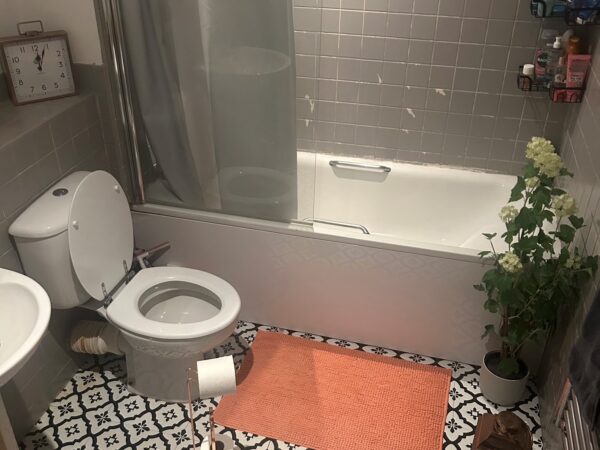 Pic 6