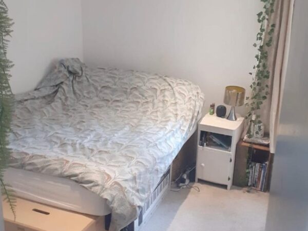 pic 2